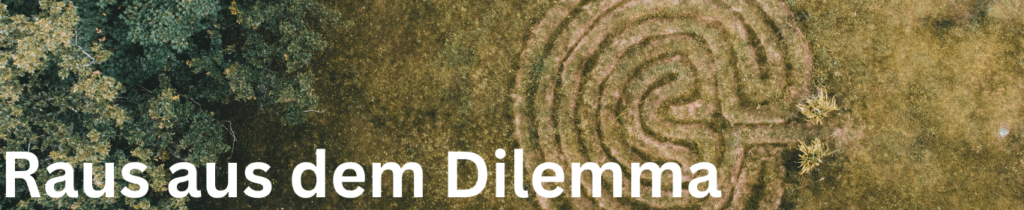 Banner mit Schrift "Raus aus dem Dilemma". Natur-Labyrinth von oben.