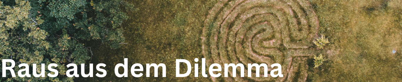 Symbolisiert Dilemma. Banner mit Schrift "Raus aus dem Dilemma". Natur-Labyrinth von oben.