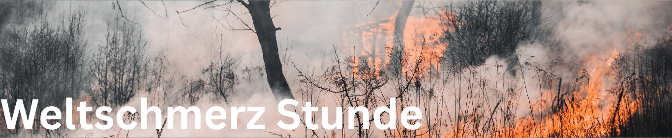Banner mit Schrift "Weltschmerz Stunde". Waldbrand mit schwarzen Bäumen.